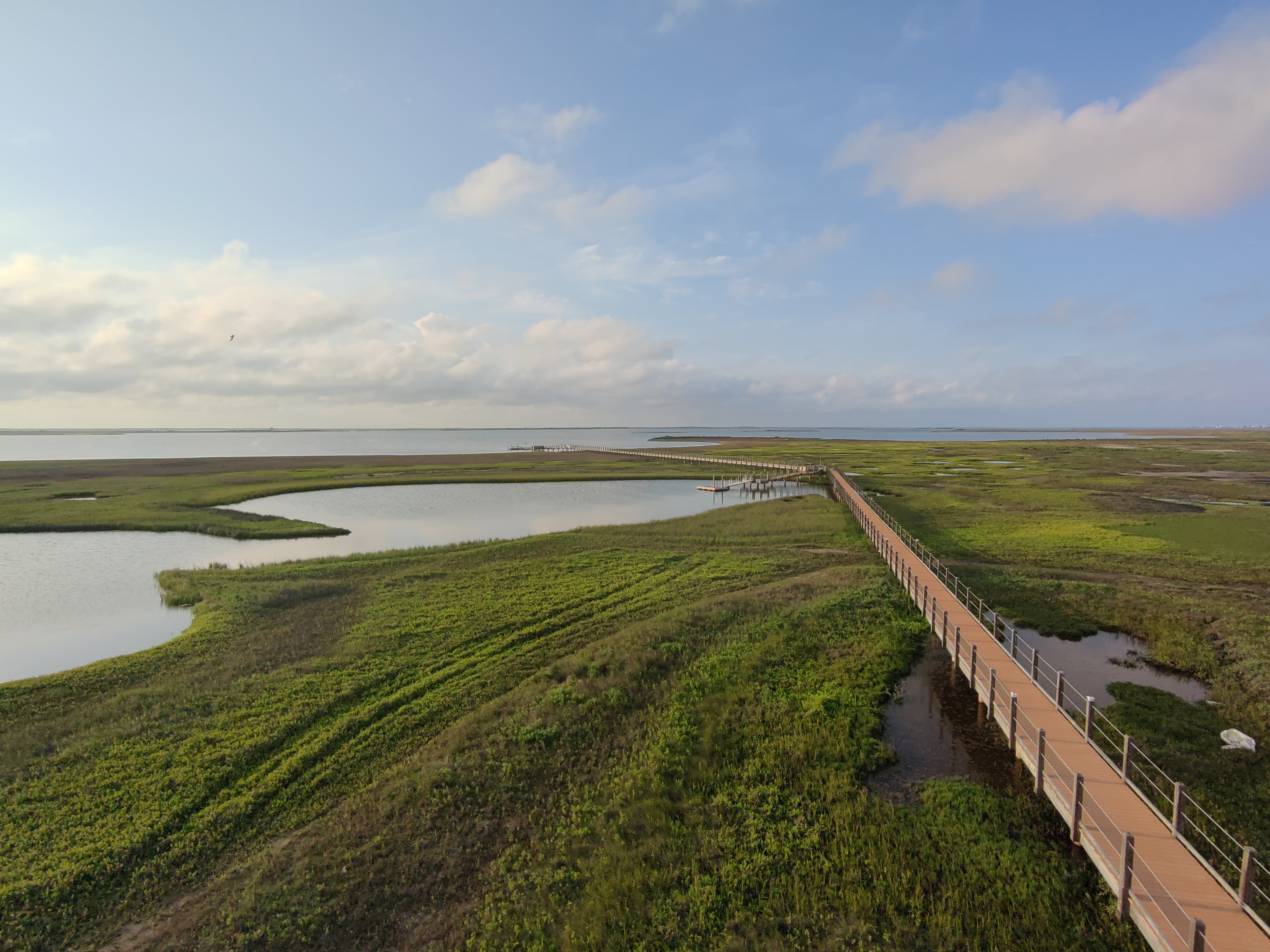 The Bay Boardwalk: The elevated boardwalk crosses the protected Drum Bay Nature Preserve, leading to the Crabbing Pier and continuing to the Fishing Pier and kayak launch.